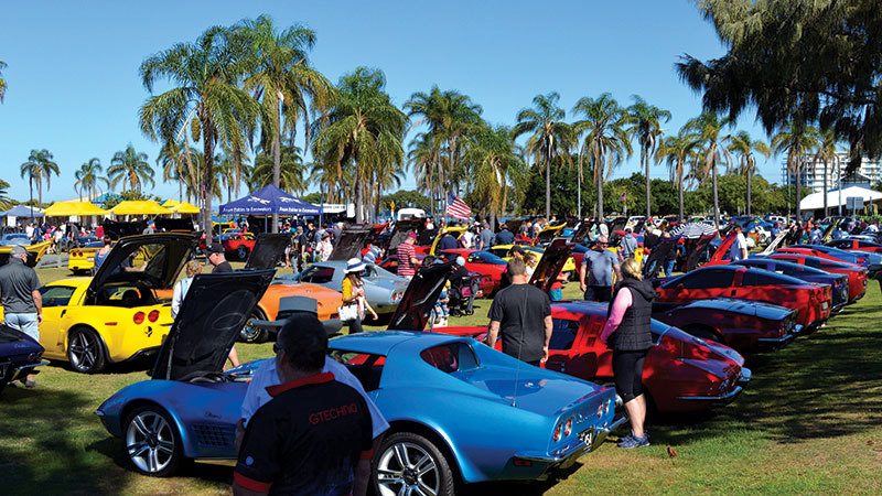 A Corvette Collective